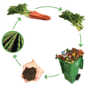 compost_cycle1